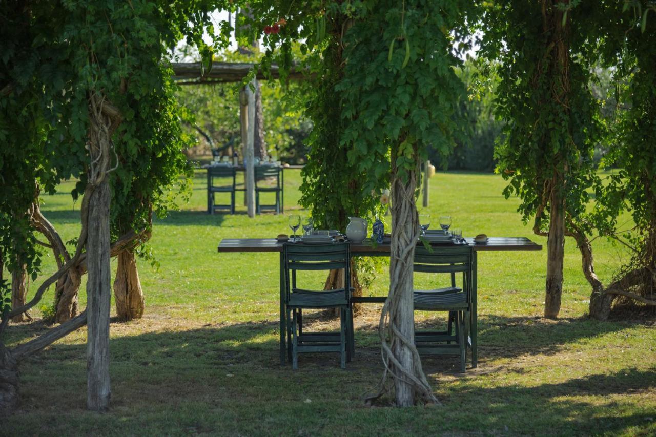 Agriturismo Bandinelli Braccagni Eksteriør billede