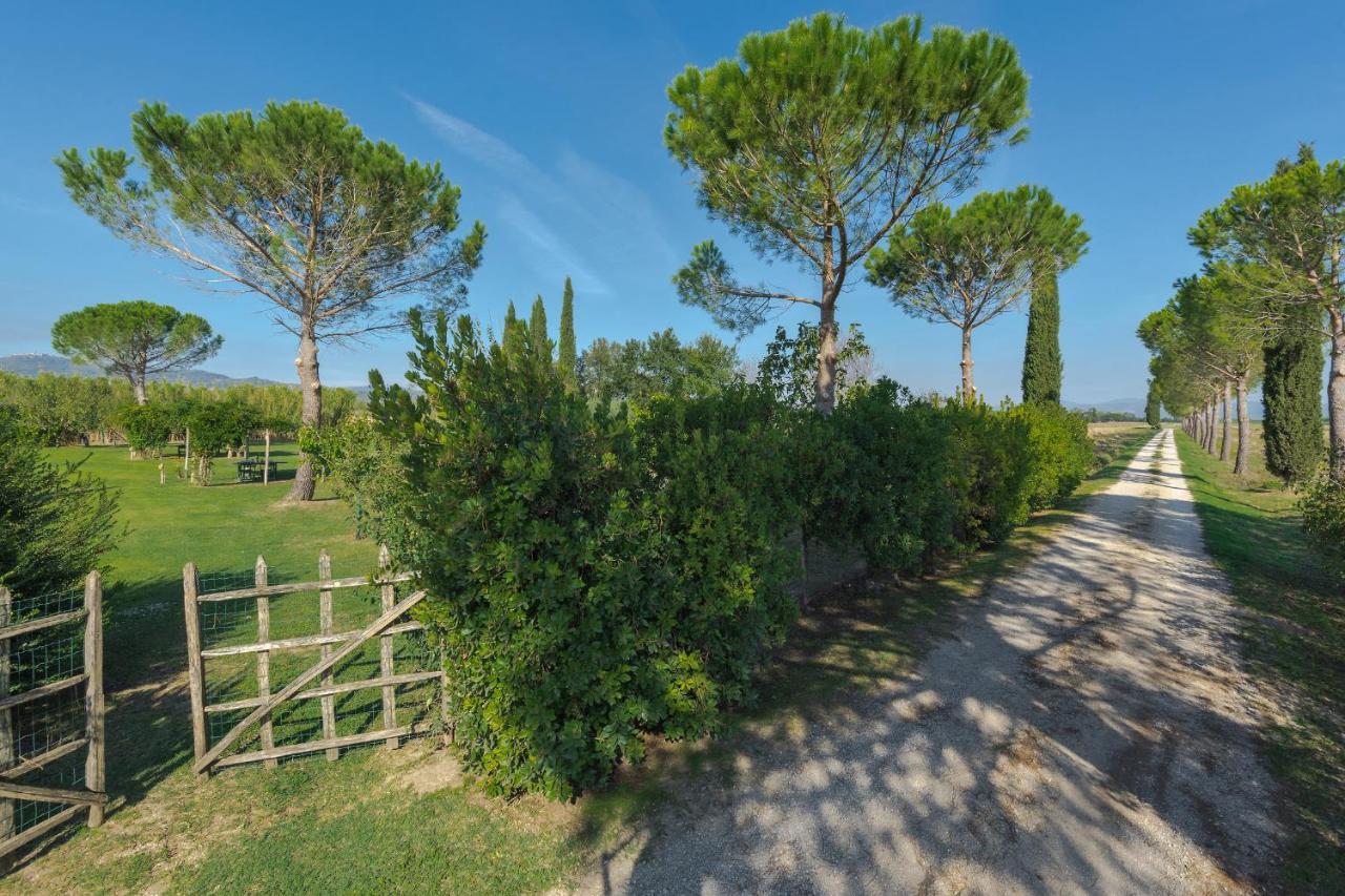 Agriturismo Bandinelli Braccagni Eksteriør billede